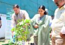 विश्व पर्यावरण दिवस पर CM धामी ने लगाया पेड़,”एक पेड़ मां के नाम” अभियान का बने हिस्सा