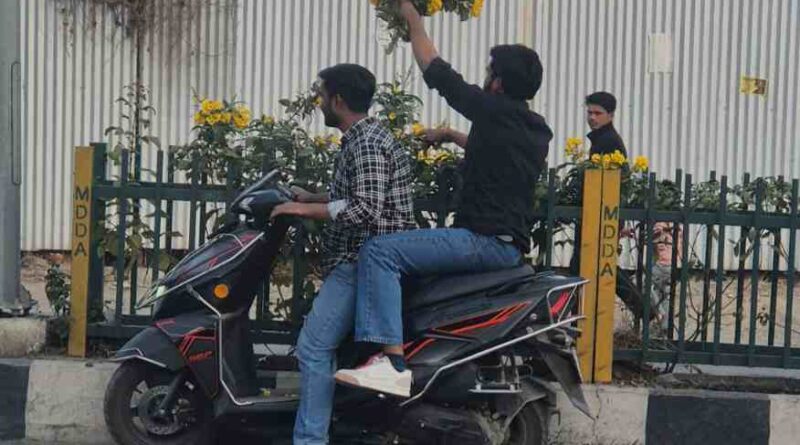 सहस्त्रधारा रोड पर डिवाइडर से फूल उखाड़ने की घटना का एमडीडीए ने लिया संज्ञान,फूल उखाड़ने वालों पर होगी कार्रवाई – बंशीधर तिवारी