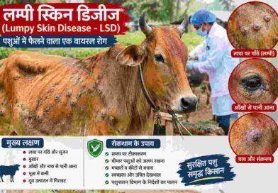 लम्पी रोग पर पशुपालन विभाग अलर्ट,अब तक 2.10 लाख पशुओं का टीकाकरण