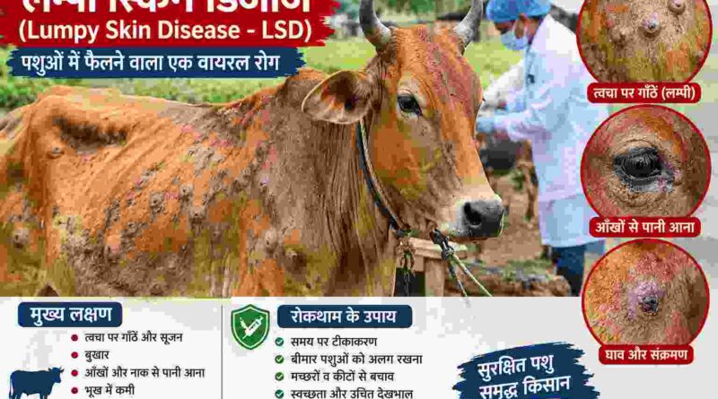 लम्पी रोग पर पशुपालन विभाग अलर्ट,अब तक 2.10 लाख पशुओं का टीकाकरण